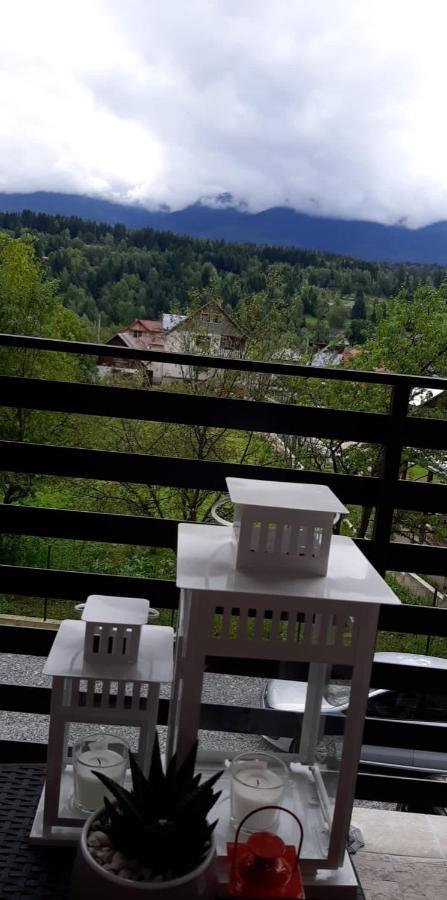 Villa Maya Borşa Εξωτερικό φωτογραφία