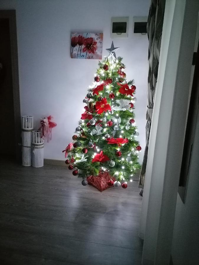 Villa Maya Borşa Εξωτερικό φωτογραφία
