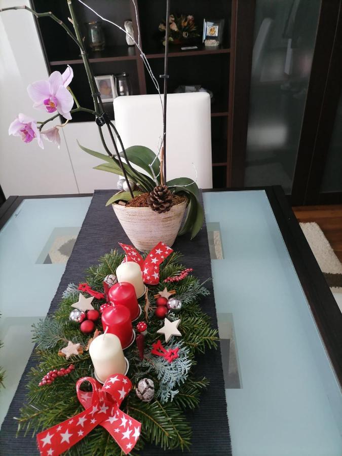 Villa Maya Borşa Εξωτερικό φωτογραφία
